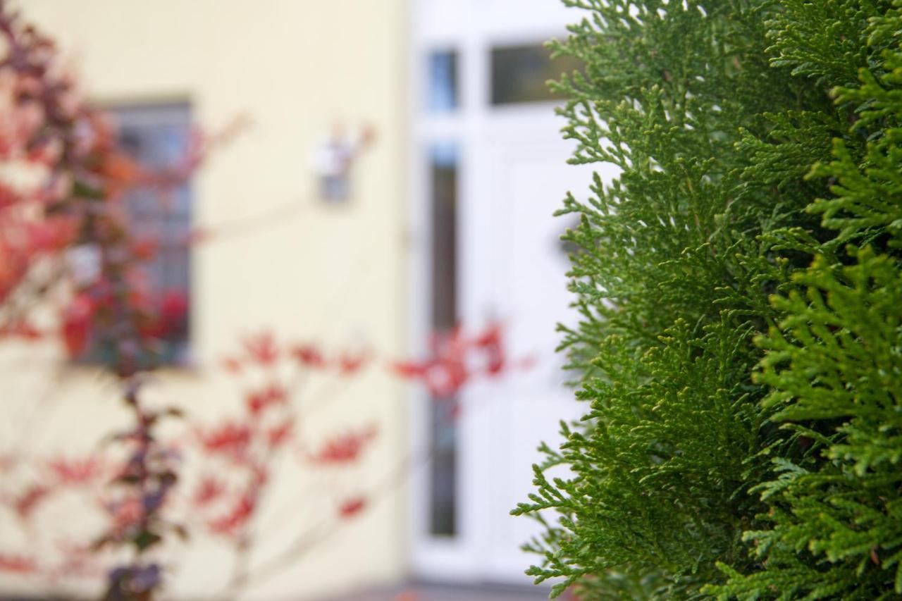 Ferienhaus Bogsi Mullrose Bagian luar foto